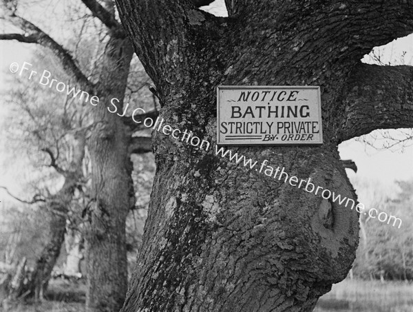 LAKE SIDE OAK TREE WITH NOTICE 'NO BATHING'